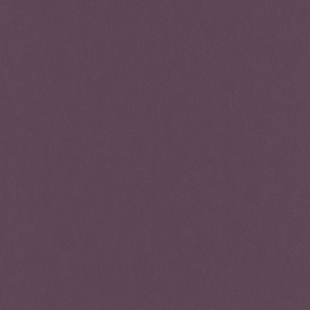 фото Erismann Grace 2014 5744-09