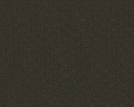 фото A.S.Creation Bella Vista 935574