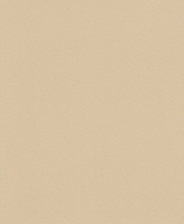 фото Rasch Modern Surfaces 2 610383