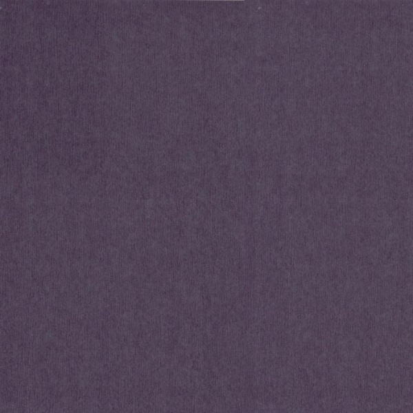 купить P+S International Orpheo 2014 13091-20