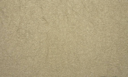 фото Rasch Gentle Divine 215990