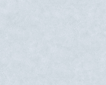 фото A.S.Creation Beton 362063