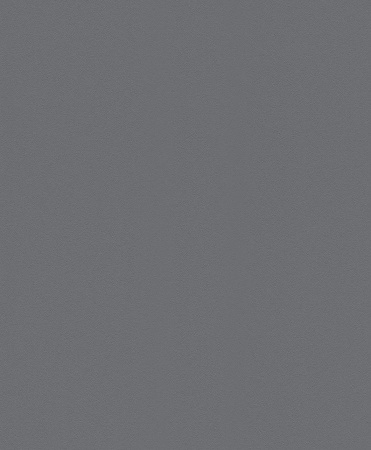 фото Rasch Modern Surfaces 2 607758