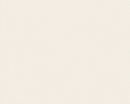 фото A.S.Creation Brigitte 131027