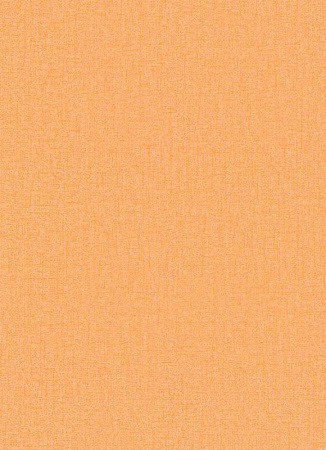 фото Erismann Prime Time 6423-04