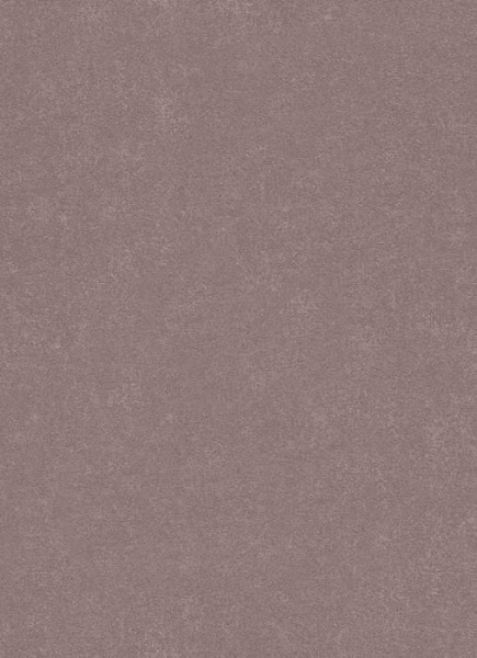 купить Erismann Imitations 5938-33