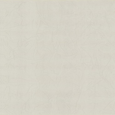 фото PS International Intense 02258-20