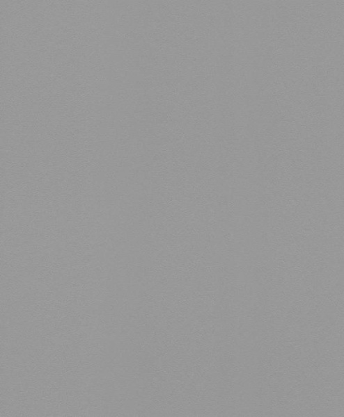 купить Rasch Modern Surfaces 2 607741