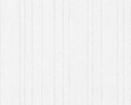 фото A.S.Creation Meistervlies 4 3069-13 / 3070-19