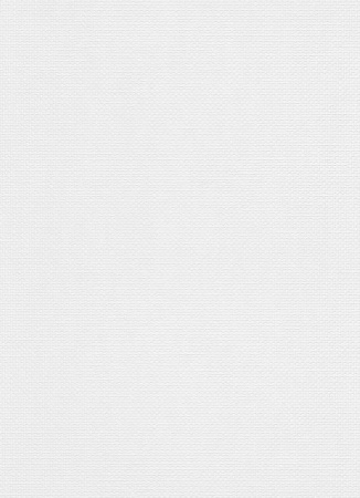 фото Erismann RollOver 5365-10 (5365-01)