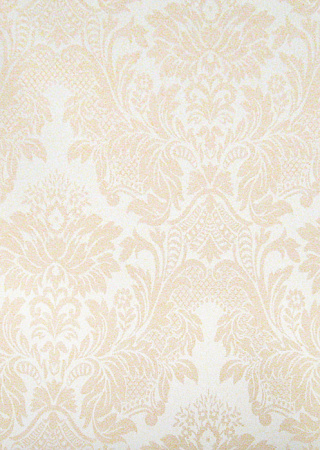 фото Calcutta Pride Pride_Pride309029