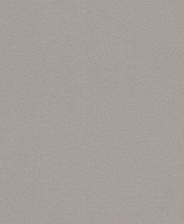 фото Rasch Modern Surfaces 2 607734