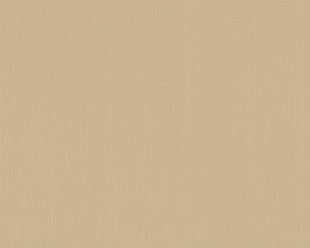 фото A.S.Creation Felicia 966728