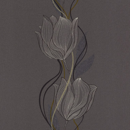 фото Rasch Seduction 2014 796506