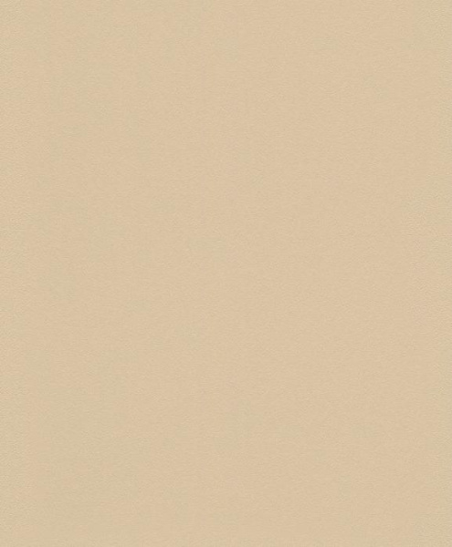 купить Rasch Modern Surfaces 2 610383