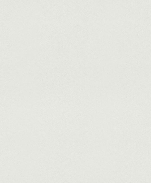 купить Rasch Modern Surfaces 2 604016