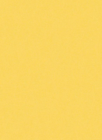 фото Erismann Lotta 7352-03