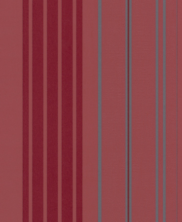 фото Rasch Modern Update 771541