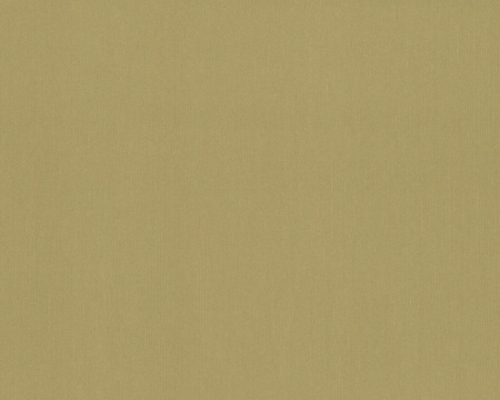 фото A.S.Creation Contzen 3 254863