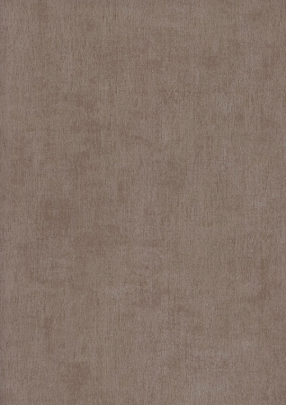 фото BN International Color Stories BN 218509