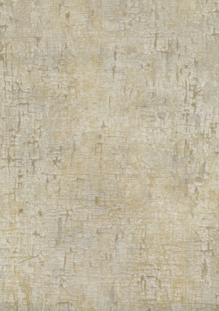 фото Emiliana Parati Future 44076