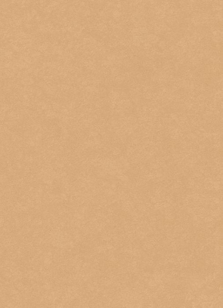 купить Erismann City Glam 5958-27