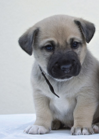 фото Rasch Kids' Club 2014 892413