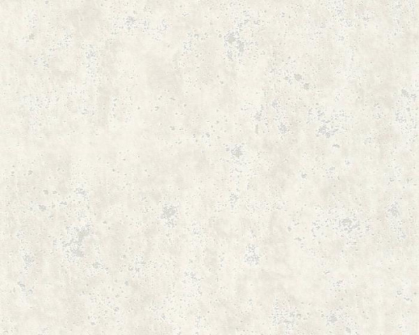 купить A.S.Creation Beton 366002