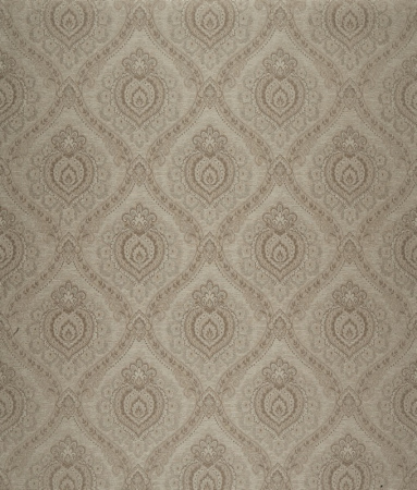 фото Calcutta Elegance elegance-111020-valiant-falcon
