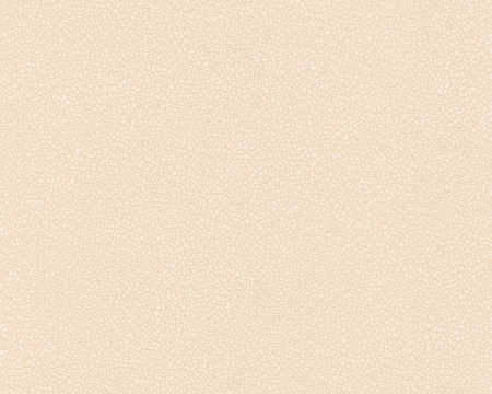 фото A.S.Creation Esprit 4 111722