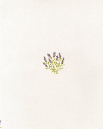 фото Caselio Romarin RMA6021-50-70