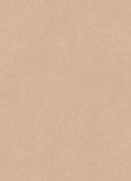купить Erismann City Glam 5958-49