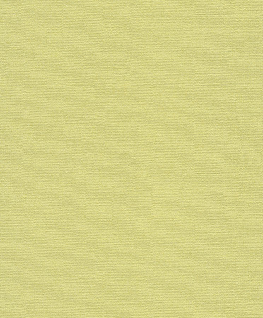 фото Rasch Flower Poetry 2015 410433