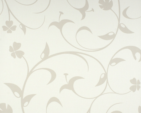 фото A.S.Creation Contzen 623645