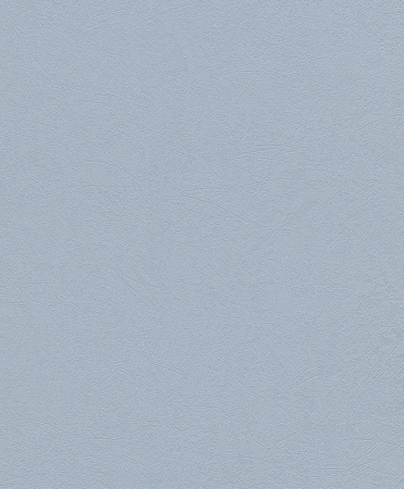 фото Rasch Naturalia 434316