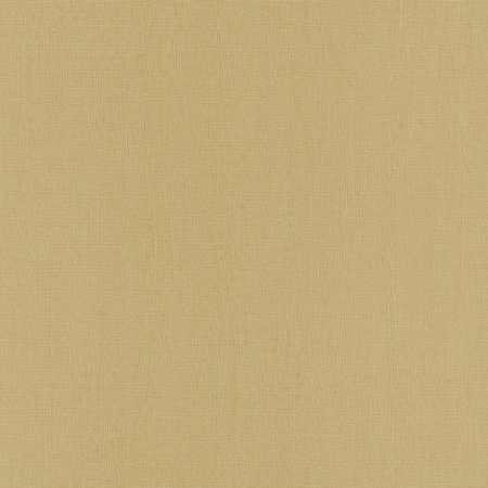 фото Rasch Easy Passion 2015 732108