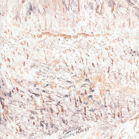 фото BN International Van Gogh 17182