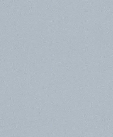 фото Rasch Modern Surfaces 2 610444