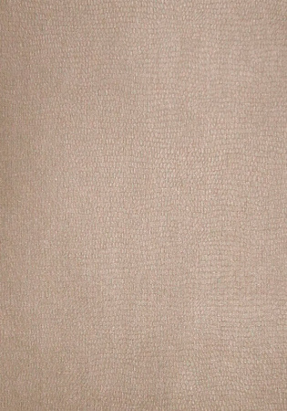фото Erismann Cordoba 5646-38