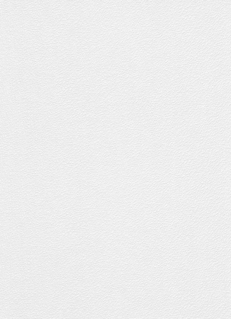 фото Erismann RollOver 3923-10 (3923-01)