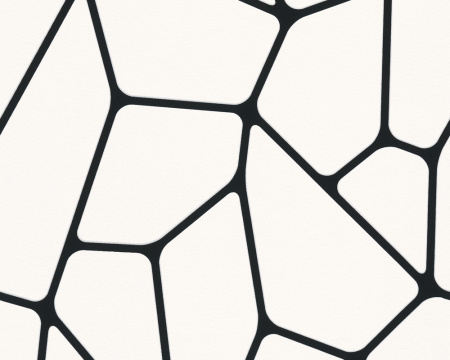 фото A.S.Creation Best of Vlies 2014 255266