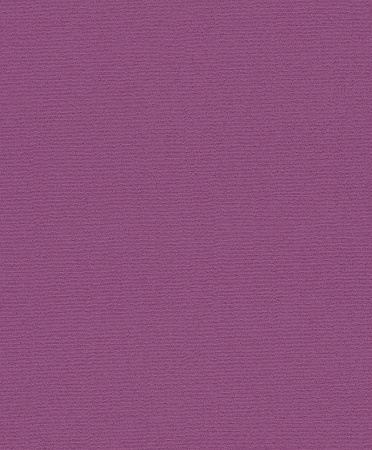 фото Rasch Flower Poetry 2015 410495