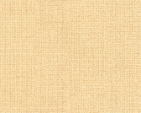 фото A.S.Creation Decora Natur 4 589132