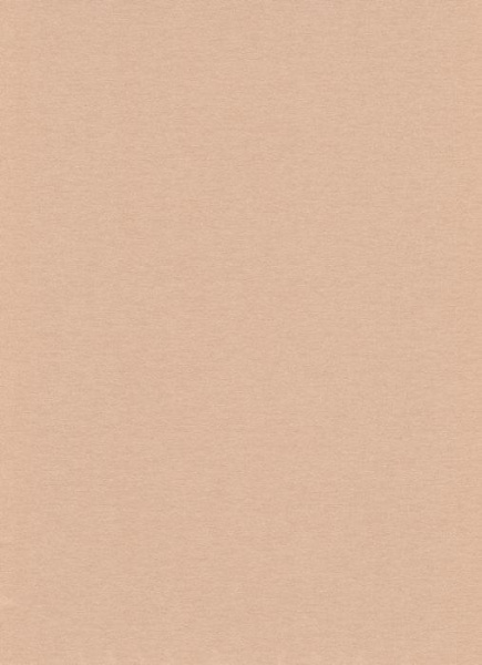 купить Erismann Arezzo 5133-50