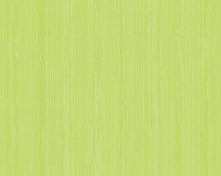 фото A.S.Creation Esprit 6 222725