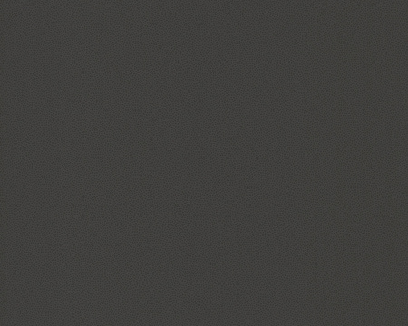 фото A.S.Creation Daniel Hechter 2 286345