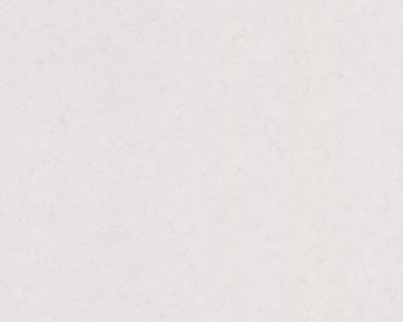 фото A.S.Creation Atrium 874221