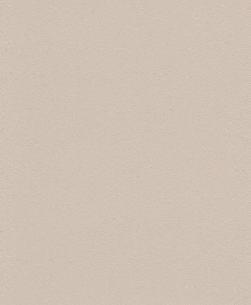 купить Rasch Modern Surfaces 2 607796