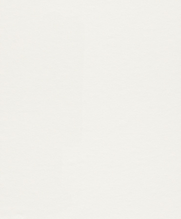 фото Rasch Wallton 2021 165814 (плотность 150 гр)