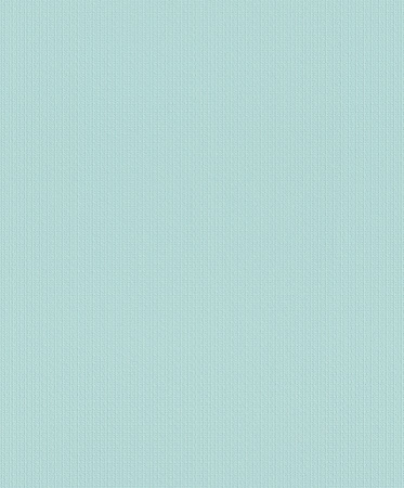 фото Rasch Naturalia 457353